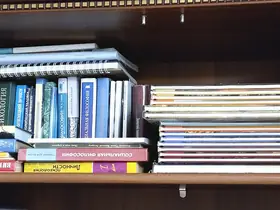 Плюсы изучения латинского языка